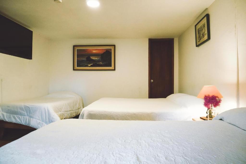 Casa Del Arupo Vandrehjem Quito Eksteriør billede